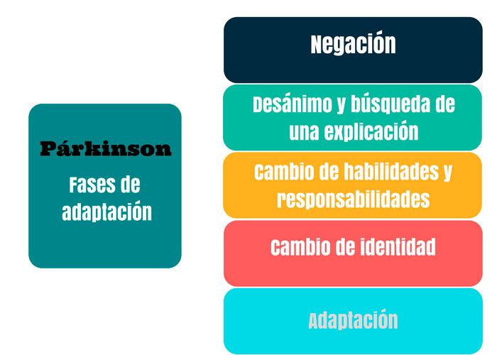 fases de adaptación a la enfermedad de Parkinson
