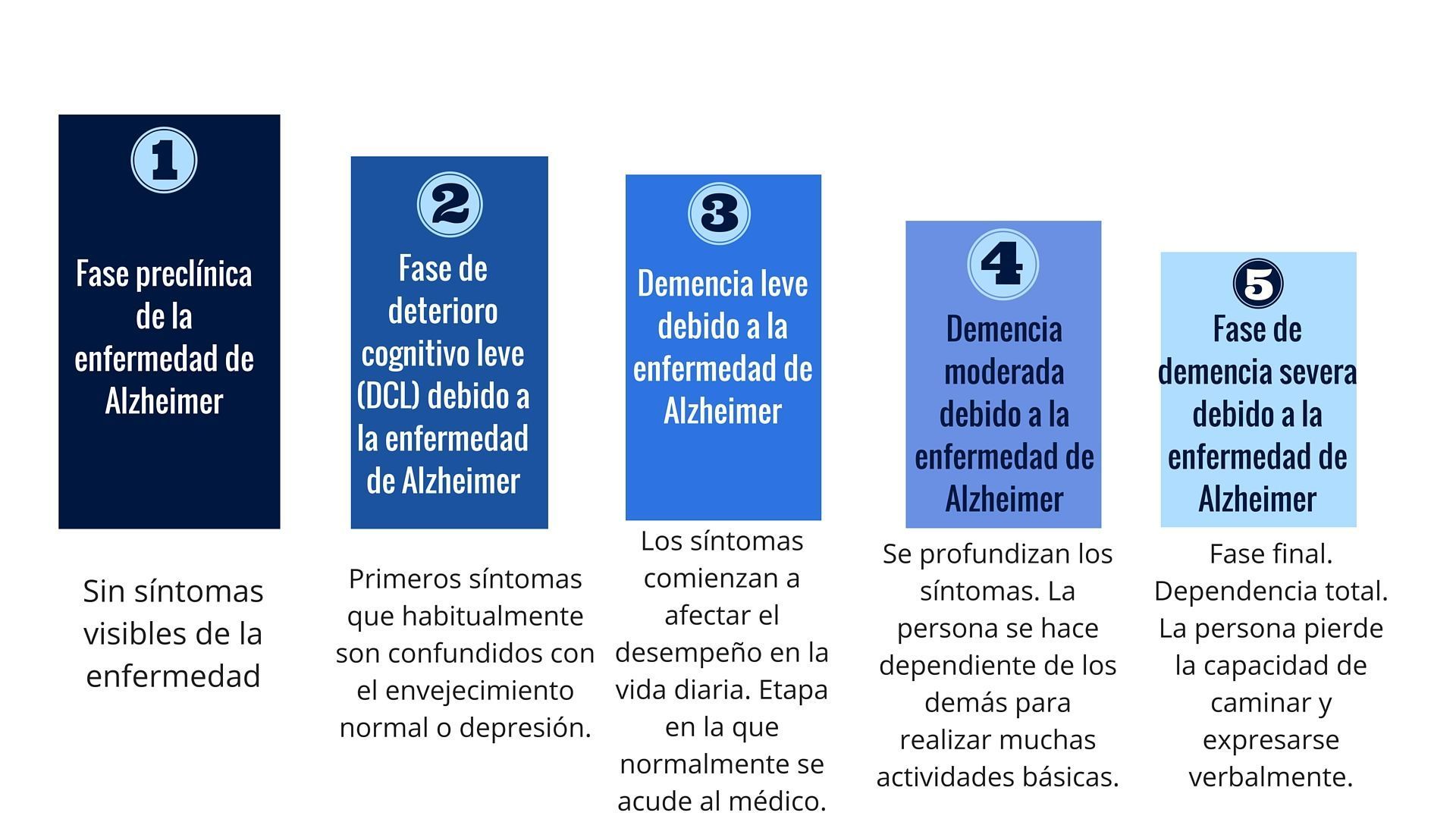 Fase preclínica de la enfermedad de Alzheimer