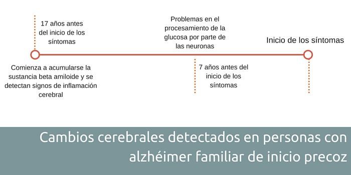 cerebro de una persona con enfermedad de Alzheimer
