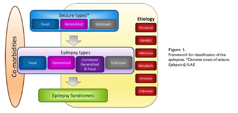 clasificación de las epilepsias