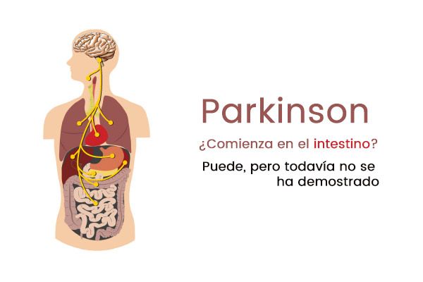 parkinson puede comenzar en el intestino